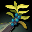 Item wolfberry.png