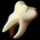 Item lost dwarfs tooth.png