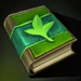 Item the book of life.png