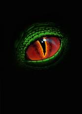 Main-DragonDraft-eye.png